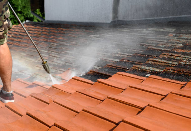 Best Pressure Washing Siding  in Botkins, OH